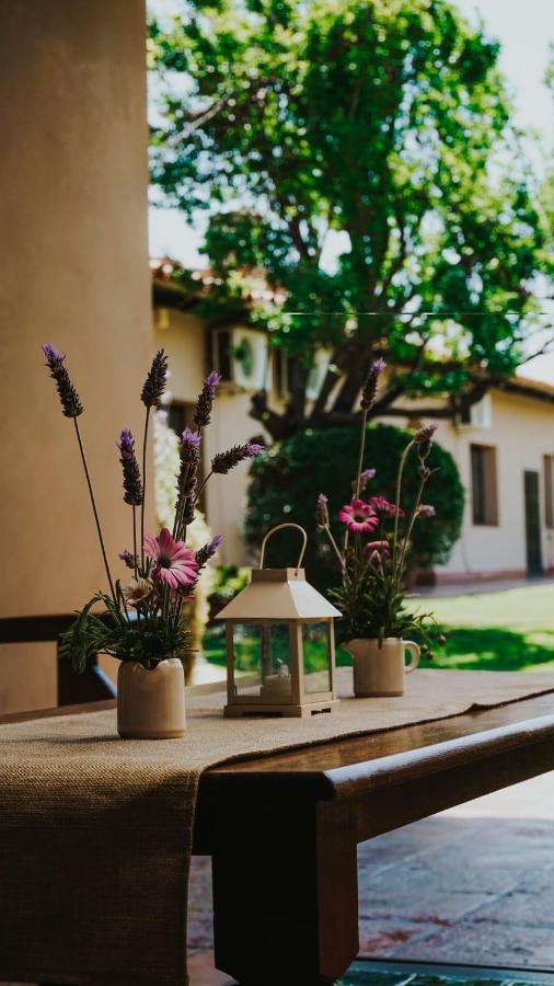 Casa Del Sol Cafayate Bed & Breakfast Dış mekan fotoğraf